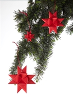 Stjernestunder Klassisk Jul rød stjerne 10,5 x 10,5 cm på gren - Fransenhome